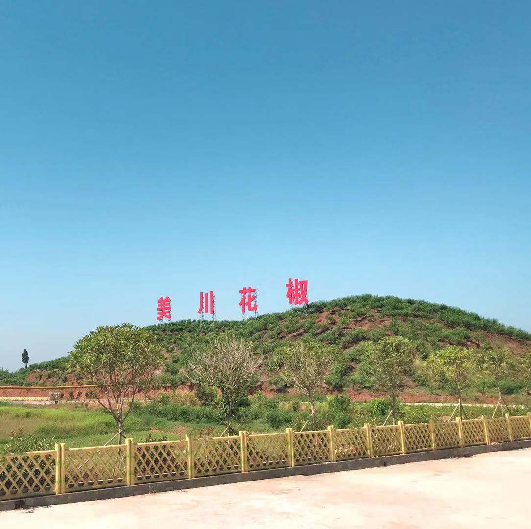 村企共創(chuàng)，建美麗宜居鄉(xiāng)村