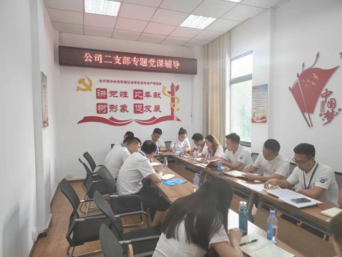 公司二支部開展“齊力共進(jìn)、強(qiáng)企有我” 主題黨日活動(dòng)